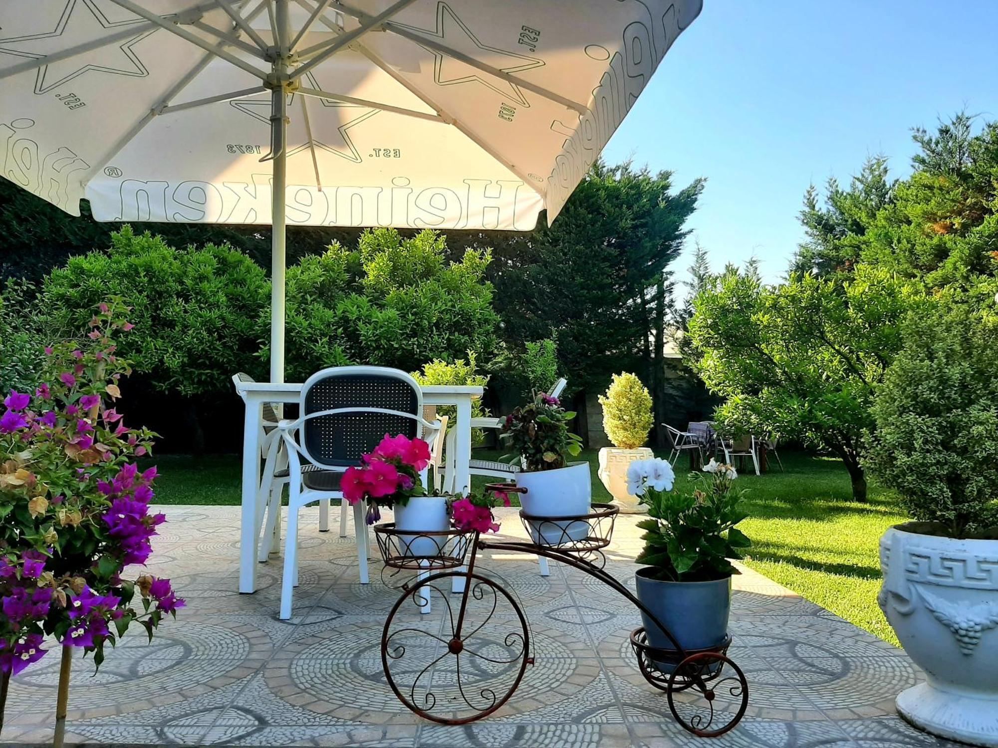 Hotel Vila Arbri Berat Kültér fotó